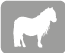 Ponys