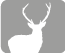 Rotwild, Damwild, Rehe, Hirsche