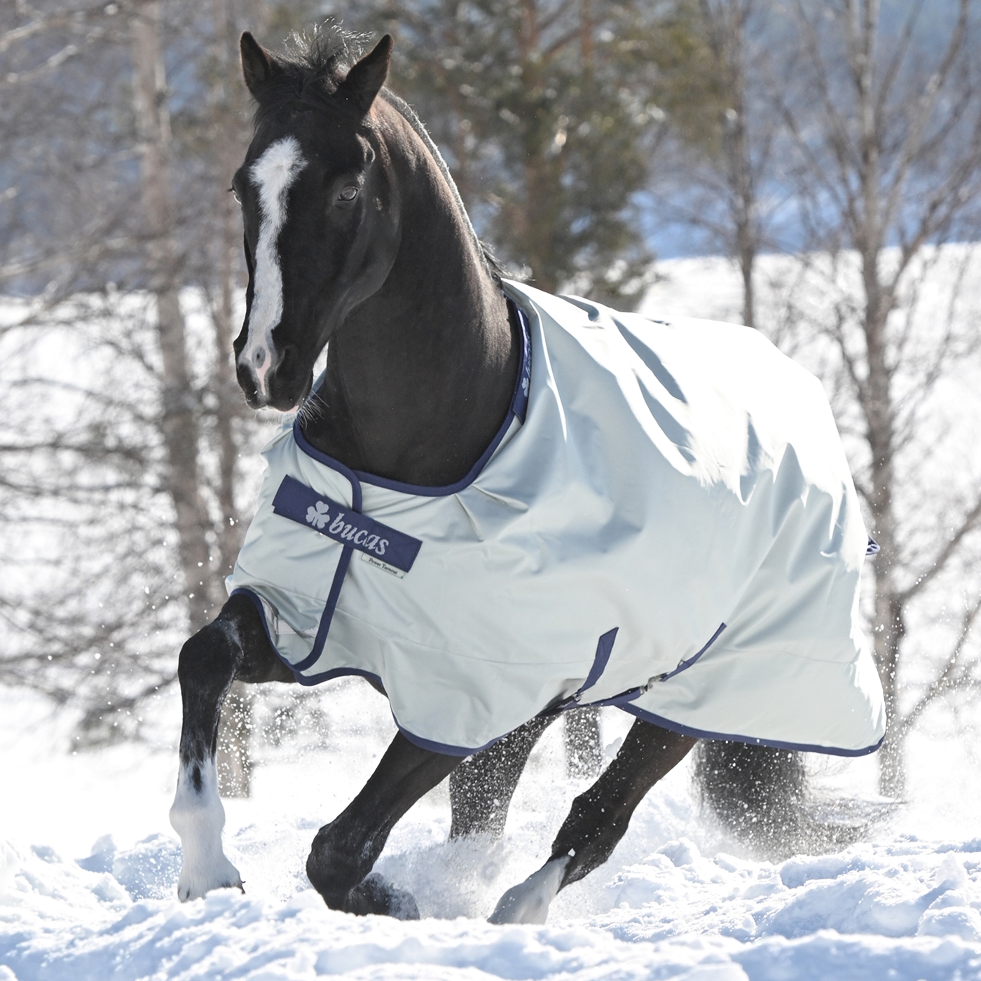 Doppelklicken zum vergrößern Ein schwarzes Pferd mit einer Bucas Power Turnout Medium 150g Winterdecke, Größe 125 cm, rennt an einem sonnigen Wintertag durch den Schnee.