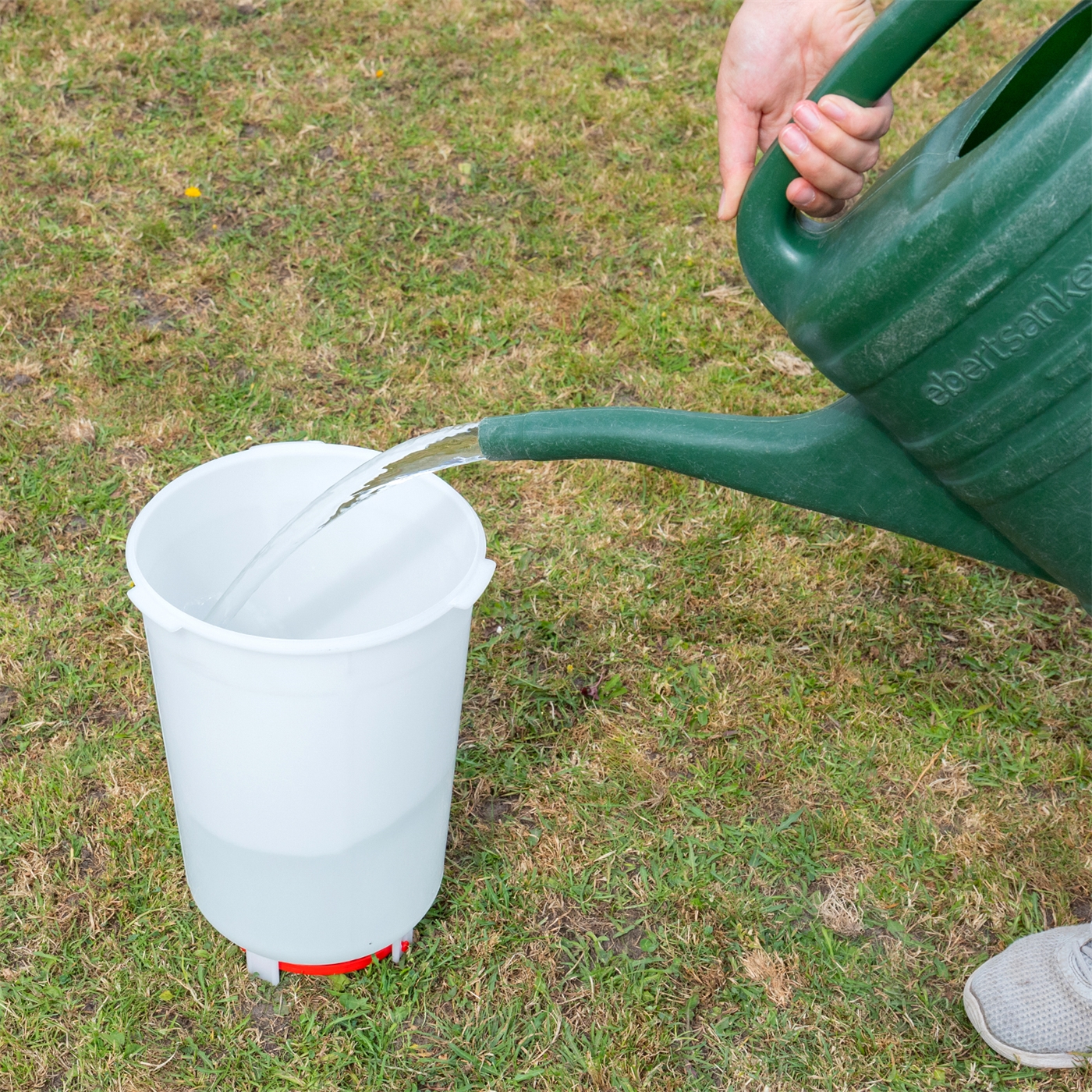 Doppelklicken zum vergrößern Eine Hand gießt Wasser aus einem Geflügeltränke mit Bajonettverschluß, Inhalt 1,5 l, in einen weißen Behälter auf dem Gras.