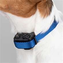 PetSafe Antibellhalsband "deLuxe" PBC19-11796 (RFA-442), für Hunde bis 26kg