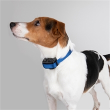 PetSafe Antibellhalsband "deLuxe" PBC19-11796 (RFA-442), für Hunde bis 26kg
