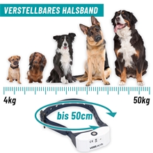 VOSS.pet "AB 3" Antibell Sprühhalsband, Sprayhalsband für Hunde, deLuxe