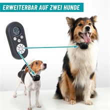 B-Ware: VOSS.pet DOG C200 Ferntrainer für Hunde, 200m