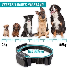 VOSS.pet DOG C900 Ferntrainer für Hunde, 900m