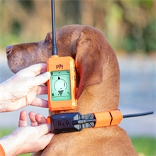 Dogtrace GPS X20 Hundeortung für die Jagd - Hundeortungsgerät für Profis, ORANGE