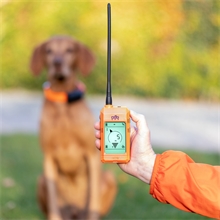 Dogtrace GPS X30TB Hundeortungsgerät für Android und iOS