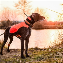 SET - Dogtrace GPS X25 Hundeortungsgerät für die Jagd - Hundeortung