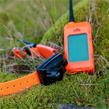 Dogtrace GPS X25B Hundeortungsgerät für die Jagd - Hundeortung