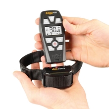 Eine Hand hält eine Fernbedienung und ein DogTrace D-Control Edge 450 Hundetrainingshalsband mit Impuls-, Vibrations- und Tonmodus und einer Reichweite von 450 m.