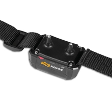 Der DogTrace "D-Control Edge 450" Ferntrainer verfügt über Impuls-, Vibrations- und Tonmodi, zwei Metallzinken und ein verstellbares Nylonband. Reichweite: 450m.