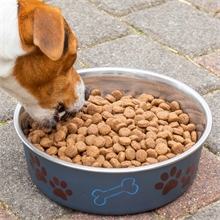 deuka dog Vitalkost - Hundefutter für erwachsene Hunde mit L-Carnitin