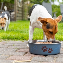 deuka dog Vitalkost - Hundefutter für erwachsene Hunde mit L-Carnitin