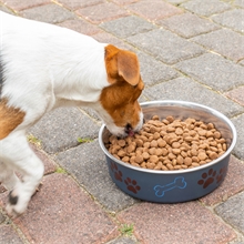 deuka dog Vitalkost - Hundefutter für erwachsene Hunde mit L-Carnitin, 15kg