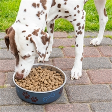 deuka HundeMahlzeit Krokett - Hundefutter für erwachsene Hunde, Mega-Pack 25kg