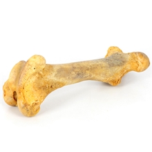 Trixie Jumbo-Kauknochen, XXL- Rinderknochen für Hunde, 38cm, 900g
