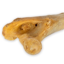Trixie Jumbo-Kauknochen, XXL- Rinderknochen für Hunde, 38cm, 900g