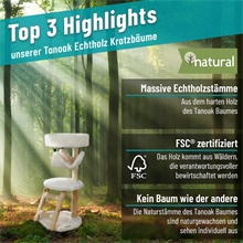 VOSS.pet Echtholz Design Kratzbaum "Bany" - Premium Naturholz vom Tanoak Baum, 82cm