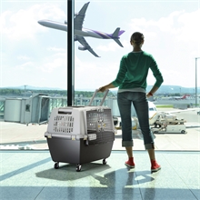 Flugzeug-Tiertransportbox Gulliver Touring IATA für Tiere bis 30kg, 80x58x62cm