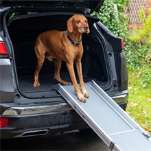 B-Ware: Teleskop-Hunderampe - Auto-Einstiegshilfe für Hunde, Alu