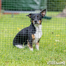 VOSS.farming classic 25m, Begrenzungszaun, Schutznetz, 110cm, 15 Pfähle, 1 Spitze, grün, ohne Strom