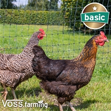 VOSS.farming BASIC Hühnerzaun 25m, Geflügelnetz, 112cm, 7 Pfähle, 2 Spitzen, grün