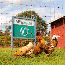 VOSS.farming farmNET+ 50m Hühnernetz, Geflügelnetz, 112cm, 20 Pfähle, 2 Spitzen, orange