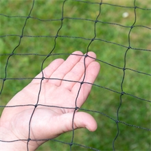 Geflügel-Schutznetz, Teich-Netz, Volieren Netz, Greifvogelschutz-Netz, 10x20m, verstärkter Rand
