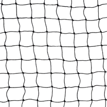 Geflügel-Schutznetz, Teich-Netz, Volieren Netz, Greifvogelschutz-Netz, 10x10m, schwarz