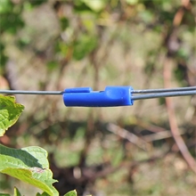 100x Gripple Drahtschutz "Twister Blue", Sicherheitshülse für Draht-Enden, Ø 2,00-3,25mm