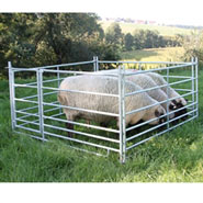 Steckfix-Horden-SET für Schafe mit Tor,1,83 m x 0,92 m, verzinkt