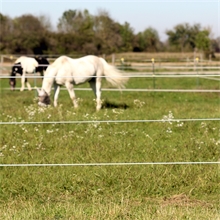 VOSS.farming Horsewire, Ø 6mm, 200m, TopLine Zaundraht Pferde, weiß