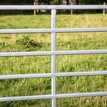 Ein Hund liegt vor einem Weidezaunpanel von VOSS.farming.