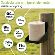 S.I.N. Hellas VOSS.vital Leckstein - BiotinLine ist ein 5 kg schweres Lecksalz für Zaunpfähle, angereichert mit Biotin, Vitamin E, Jod, Selen, Kobalt und Zink.