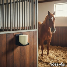 Ein braunes Pferd steht in einem Stall mit einem VOSS.vital Leckstein - BiotinLine Salzleckstein von S.I.N. Hellas an der Holzwand, während das Sonnenlicht hereinstrahlt.