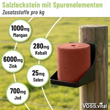 Der VOSS.vital Leckstein - MagLine, ein 5 kg schwerer Mineralsalzleckstein von S.I.N. Hellas, sitzt auf einem Zaunpfahl und bietet zusätzlich Magnesium und wichtige Nährstoffe wie Mangan, Zink, Jod, Kobalt und Selen.