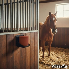 Ein Pferd steht in einer Box, in der ein S.I.N. Hellas VOSS.vital Leckstein - MagLine 5kg mineralsalz-leckstein mit magnesium an der Holzwand befestigt ist.