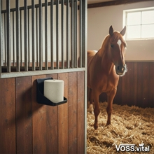 Ein Pferd steht in einem Stall neben einem VOSS.vital Leckstein - BronchLine Mineralleckstein mit Minze & Eukalyptus (5kg) von S.I.N. Hellas, montiert an der Holzwand.