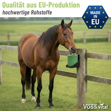 Ein braunes Pferd auf einer grünen Weide nutzt die S.I.N. Hellas VOSS.vital Leckstein - KräuterLine 5kg Mineralsalzleckstein mit Kräutern; der Text hebt die hochwertige EU-Produktion hervor.