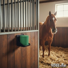 Ein braunes Pferd in einer Box mit dem VOSS.vital Leckstein - KräuterLine Mineralleckstein mit Kräutern (5kg, S.I.N. Hellas) an der Holzwand; VOSS.vital Logo in der Ecke.