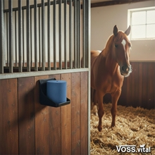 Ein braunes Pferd steht in einer Box, an deren Holzwand ein VOSS.vital Leckstein - FlyBye Block Mineralleckstein von S.I.N. Hellas angebracht ist.