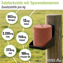 VOSS.vital Leckstein - PigLine - Leckstein für Schweine 5kg