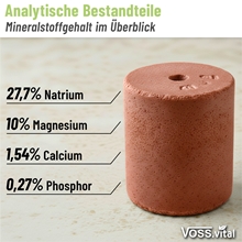 VOSS.vital Leckstein - PigLine - Leckstein für Schweine 5kg
