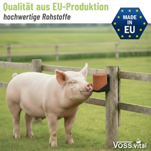 VOSS.vital Leckstein - PigLine - Leckstein für Schweine 5kg
