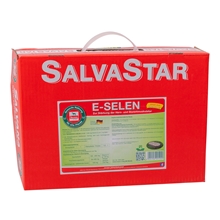 SALVANA "SALVASTAR E-SELEN", zur Stärkung der Pferde Herz- und Skelettmuskulatur, 5kg