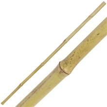 504039-bambus-stiel-fuer-bambusbesen.jpg
