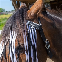 QHP Pferde und Pony Fliegen-Stirnband mit Kehlriemen