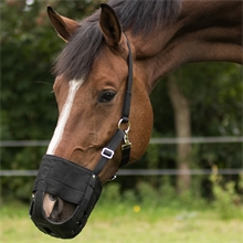 QHP Pferde und Pony Fressbremse mit Nasenlöchern
