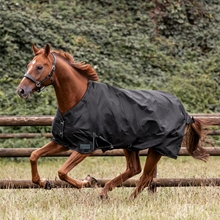 Waldhausen Outdoordecke Nordic 600D, 100g Füllung, schwarz, 145 cm