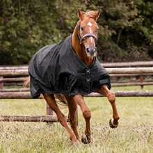 Waldhausen Outdoordecke Nordic High Neck, 100g Füllung, schwarz, 135 cm